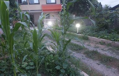 ویلا کوتاه مدت