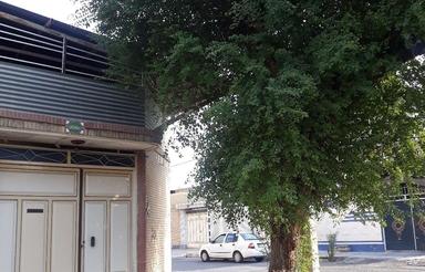 خانه ویلایی موقعیت تجاری خیابان اصلی 25 متر مسیر