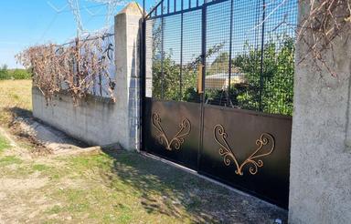 3000 متر باغ نارنگی و مرکبات