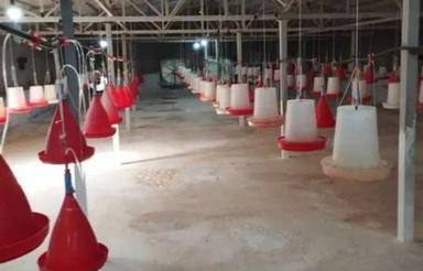 اجاره مرغداری و سوله و انبار