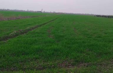 15 هزار مترزمین دربهشهرمنطقه آزاد،نزدیک بندرامیراباددرقرتپه،