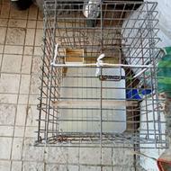 قفس 1032 کاسکو و مینا