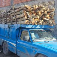 خریدار چوب درخت شما به بالاترین قیمت روز