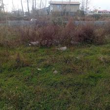 فاز 3 مناسب عالی مناسب سرمایه گذاری