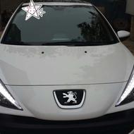 پژو207 پانوراما ارتقاء یافته