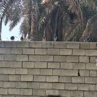 شادگان پلاکی