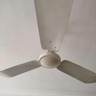 پنکه سالم سالم...