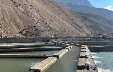 نیاز به واسطه برای فروش