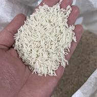 برنج فجر آستانه اشرفیه