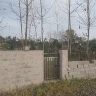 فروش زمین واقع در بندر انزلی