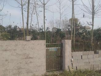 فروش زمین واقع در بندر انزلی