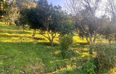 1500 متر زمین باغی اسبورز ، با چشم انداز