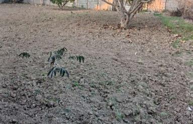 فروش زمین برای ساخت وساز