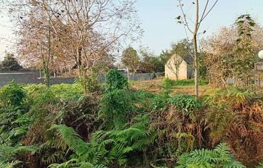 فروش زمین مسکونی 500 متر در بداغ محله