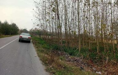 فروش زمین باغی 1200 متر در علی اباد