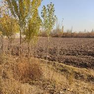 زمین کشاورزی بالاتر از رحیم لینچان