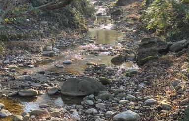 فروش زمین 1000متر جنگلی کنار رودخونه بابلکنار