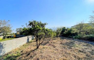 فروش زمین مسکونی 300 متر در لتینگان