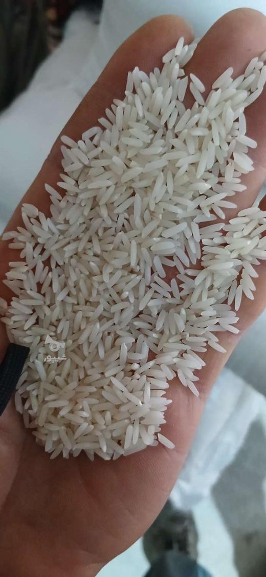 برنج طارم هاشمی دونج