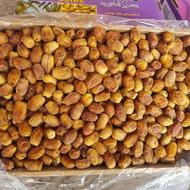 خرید انواع خرما زاهدی