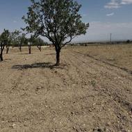 فروش 2100متر زمین مناسب ویلا سازی(فرصت استثنایی)