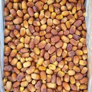 خرما زاهدی تناژ بالا موجود