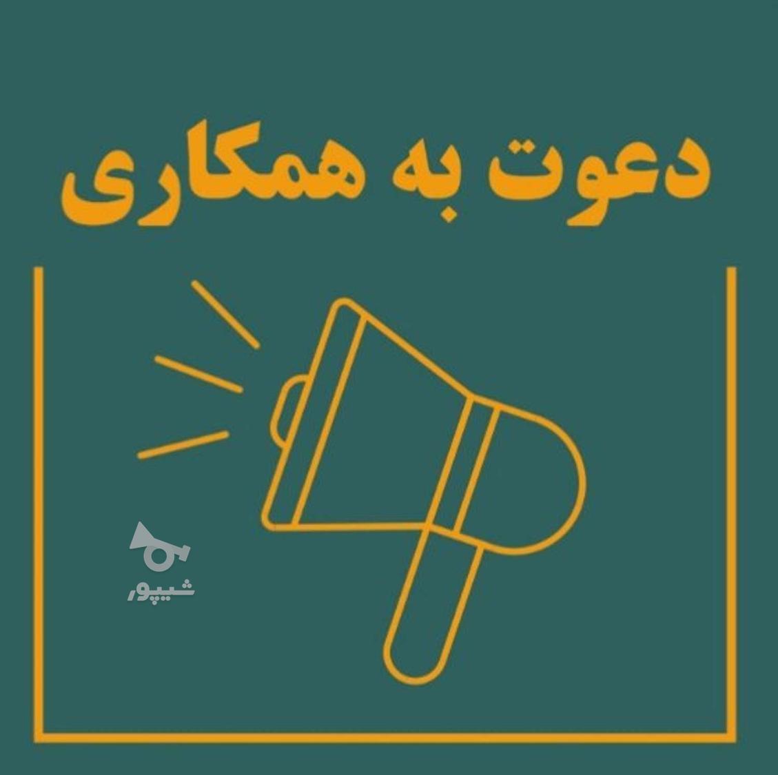 کار در منزل دراپشیپنگ - عرشیا