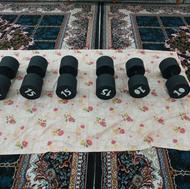 دمبل بتنی...ارسال به تمام نقاط کشور....