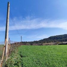 فروش معاوضه زمین مسکونی 1000 متر تنگ لته