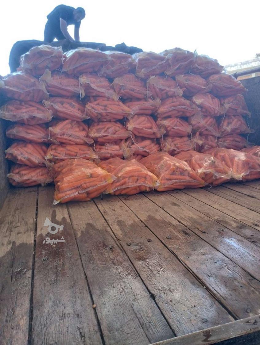 کارگر میدان تره بار - undefined