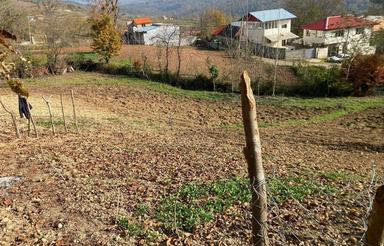 زمین با ساری 45کیلومتر فاصله داره یه جایه سر سبز دنج