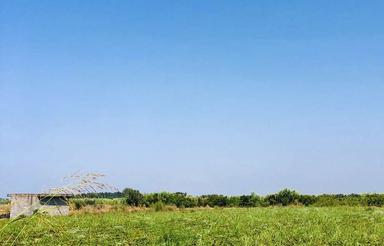 1000 متر زمین واقع در بهنمیر