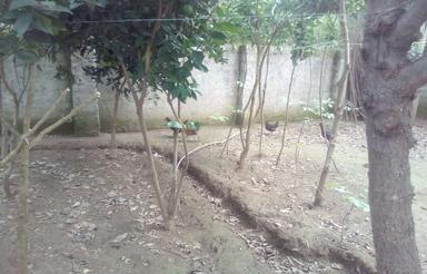 فروش ملکی در سه سقف کل بناه 220 متر