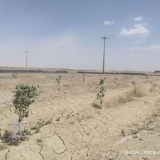 زمین باغ و کشاورزی،چهاردیواری