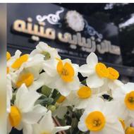 جذب ناخنکار