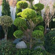 انجام کلیه امور باغبانی