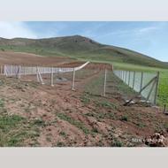 کار پایه گذاری و فنس کشی. و نهال کاشتن با چاله کن