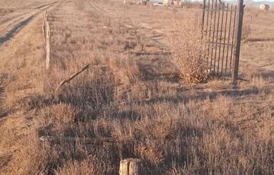 باغ 8900 متری