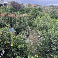 1130متر باغ ویلا واقع در کمربندی امیرکلا به بابلسر