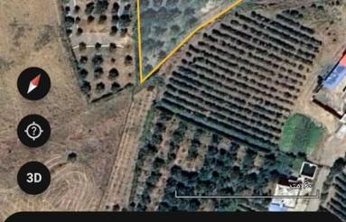 2830 متر خانه باغ روستای بریسوه