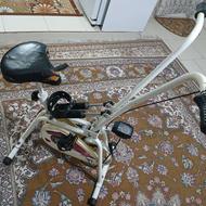 دوچرخه ثابت