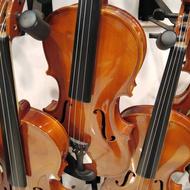 ویولن تی اف.