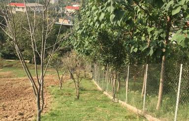 زمین نزدیک قایمشهر و جاده تهران شمال