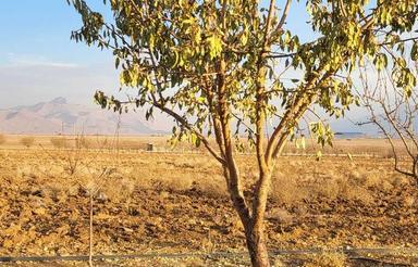 5000مترزمین کشاورزی