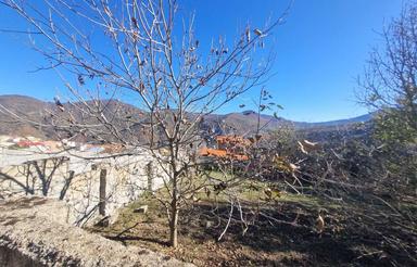 زمین بافت 200متری چلاو