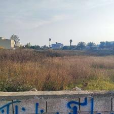 فروش زمین تجاری مسکونی 8000 متری با بهر 54متر سند 6دانگ