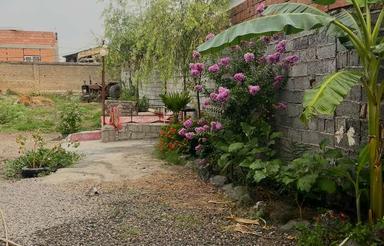 اجاره روزانه