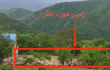 زمین داخل بافت با ویوی عالی در مسکوپا