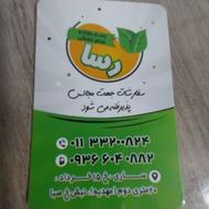 غذای خانگی رسا