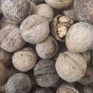 گردو ایرانی تازه